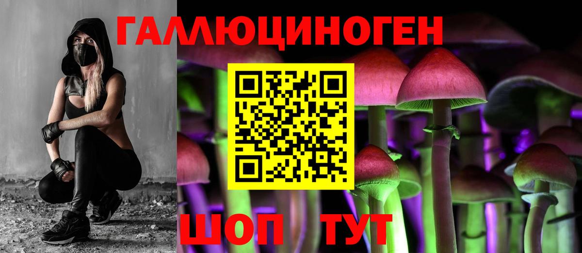 Галлюциногенные грибы мухоморы  Псилоцибиновые грибы MAGIC MUSHROOMS  Майкоп  Вход с VPN 